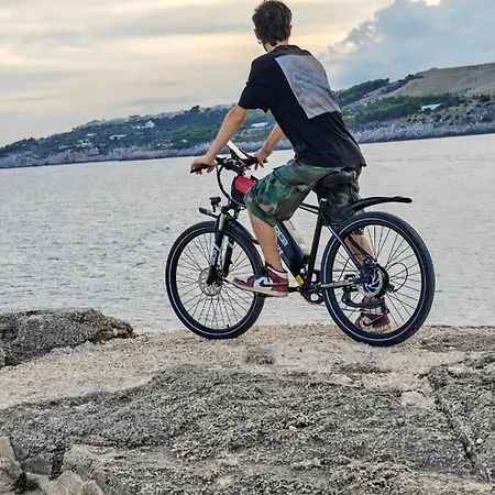 Lejlighed Valletta *